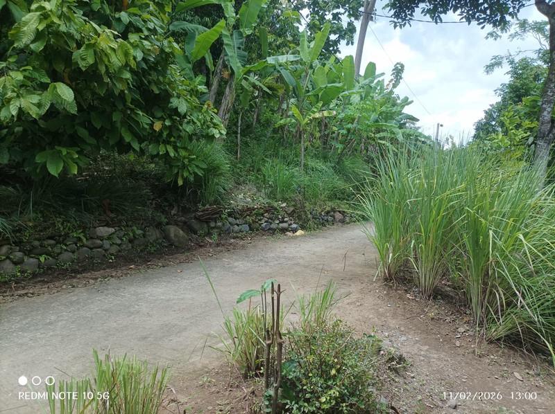 Tanah Luas 1370 Meter Persegi Lokasi Pendoworejo - Kulon Progo 