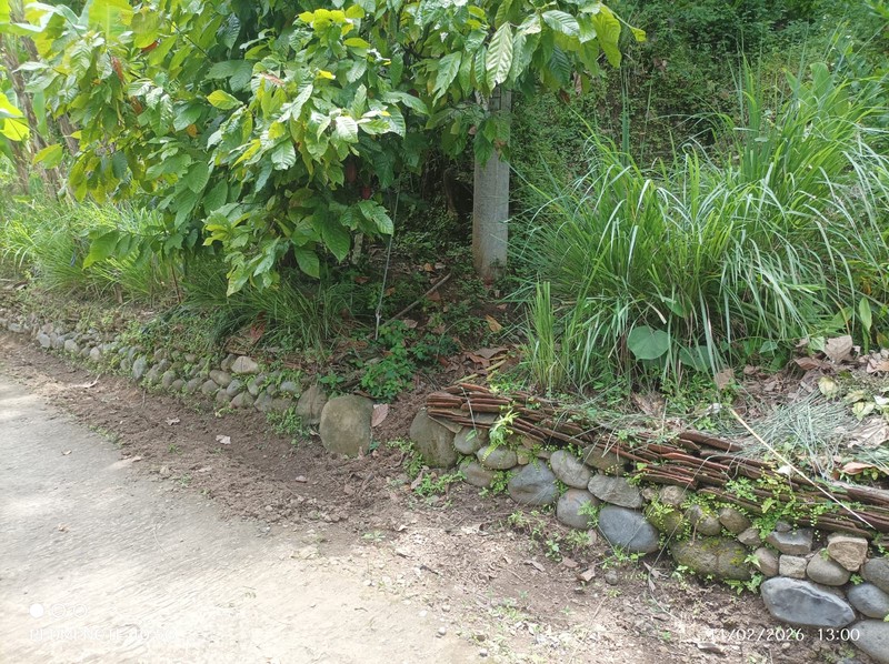 Tanah Luas 1370 Meter Persegi Lokasi Pendoworejo - Kulon Progo 