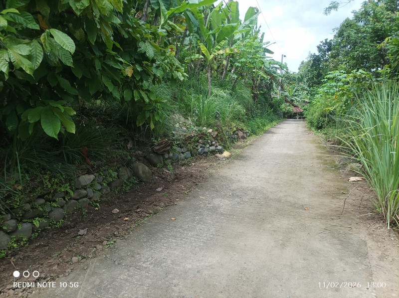 Tanah Luas 1370 Meter Persegi Lokasi Pendoworejo - Kulon Progo 