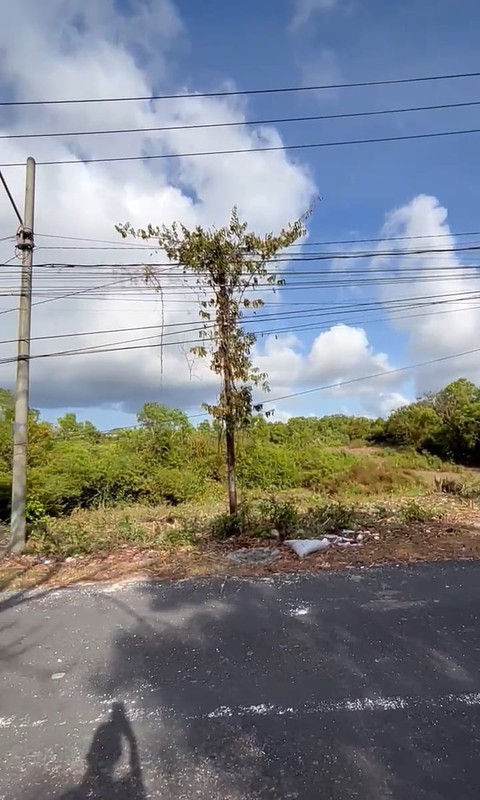 Freehold land in prime area Nusa dua, Ungasan, Bali