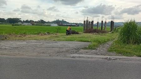 Investasi Cerdas Tanah 517 Meter Siap Bangun di Lokasi Berkembang Bangunjiwo, Kasihan, Bantul