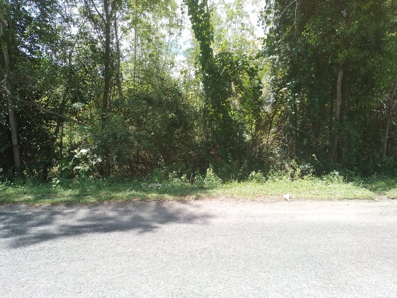 Lahan Produktif 7.600 Meter Persegi di Pajangan Bantul Lokasi Strategis di Pinggir Jalan Utama