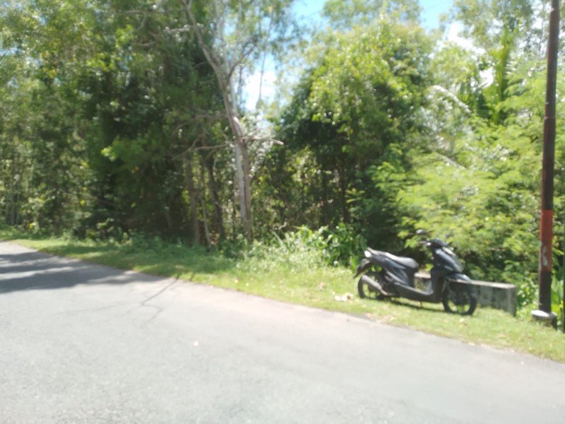 Lahan Produktif 7.600 Meter Persegi di Pajangan Bantul Lokasi Strategis di Pinggir Jalan Utama