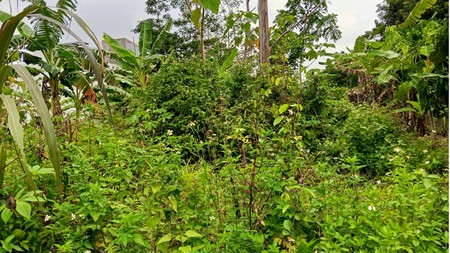 Tanah Sawah Luas 436 Meter Persegi Lokasi Dekat Stadion Maguwoharjo - Ngaglik Sleman 