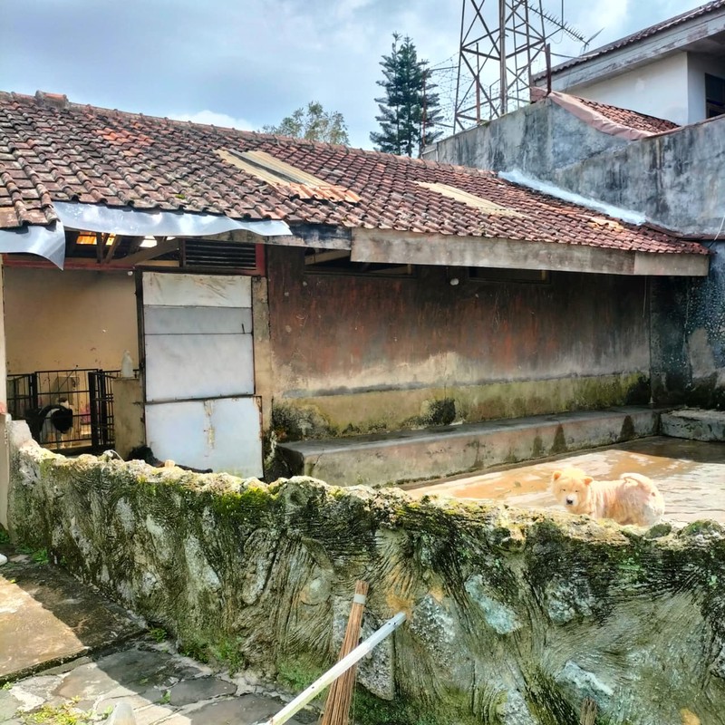 Rumah di Mainroad Lembang