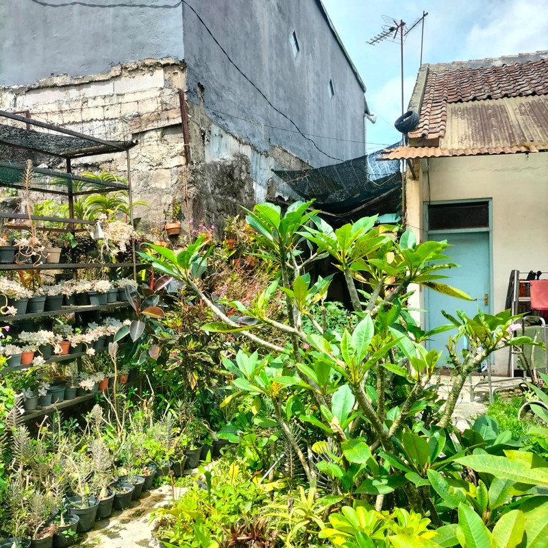 Rumah di Mainroad Lembang