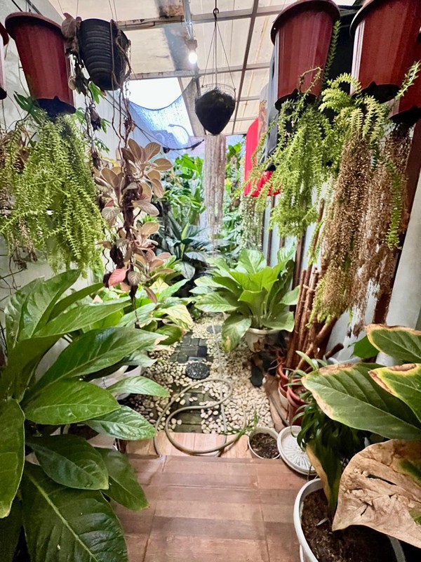 Rumah Bagus Di Discovery Conserva, Bintaro Jaya Sektor 9