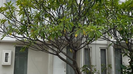 Dijual Rumah Lelang Di Grand Pakuwon Surabaya