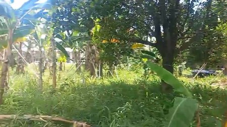 Kavling Siap Bangun Di Jl RE Martadinata Ciputat Tangerang Selatan