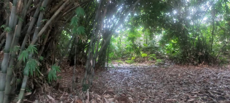 Kavling Siap Bangun Di Jl RE Martadinata Ciputat Tangerang Selatan