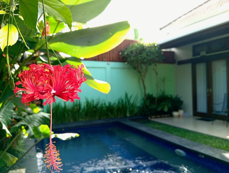 The Ultimate Family Retreat: Homey 6 Bedroom Freehold Villa Near Saba Beach!