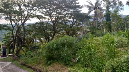 Tanah Luas 1500 m2 Dijual Lokasi Batu Layar Lombok NTB