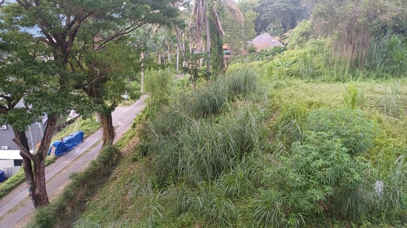 Tanah Luas 1500 m2 Dijual Lokasi Batu Layar Lombok NTB