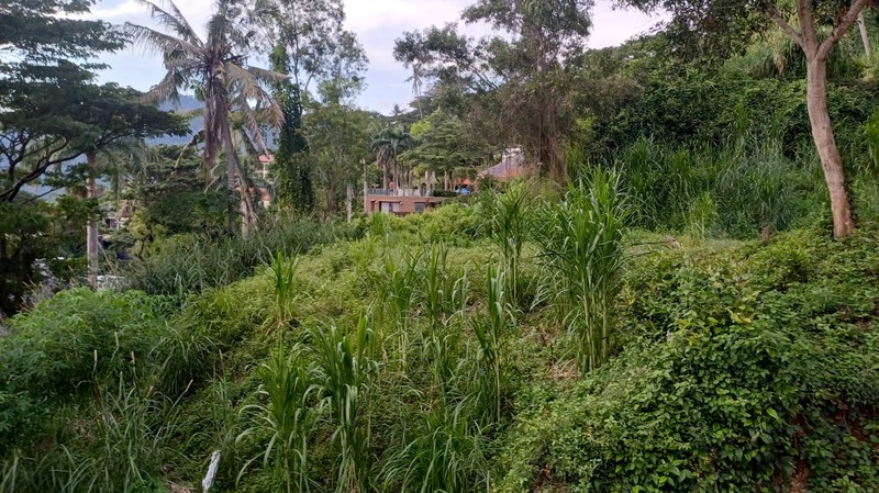 Tanah Luas 1500 m2 Dijual Lokasi Batu Layar Lombok NTB