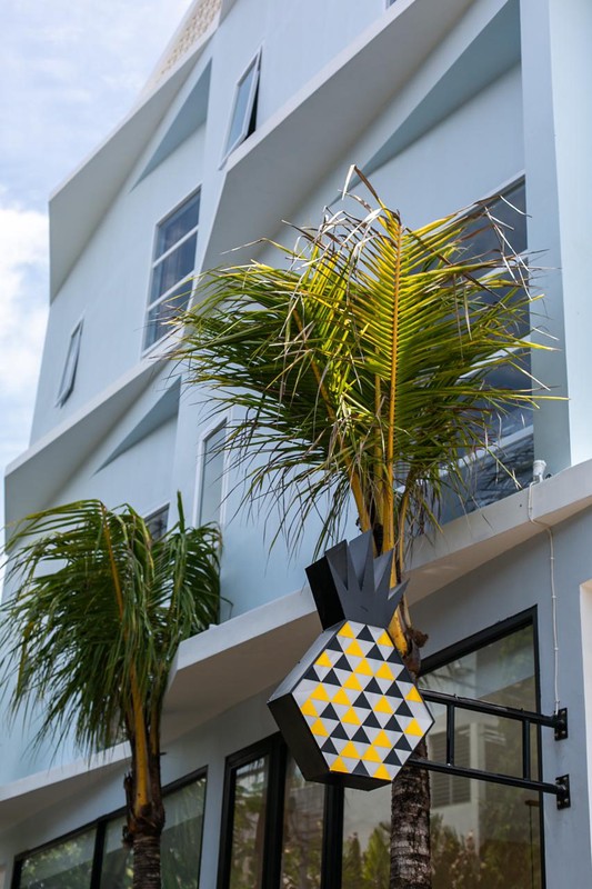 Leasehold - Profitable Turnkey Hostel for Sale in Prime Canggu - 7 Minutes to Batu Bolong Beach, Canggu, Bali