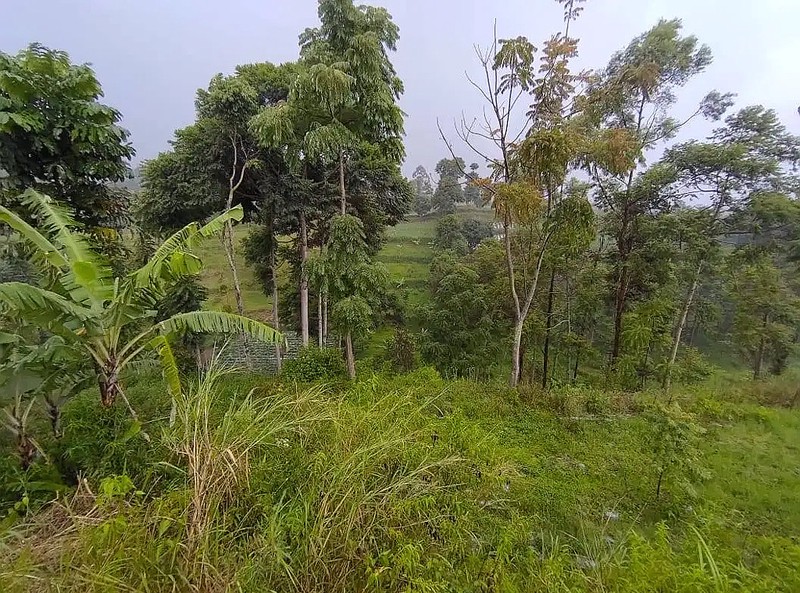 Lahan di Jalan Barunagri, Bandung