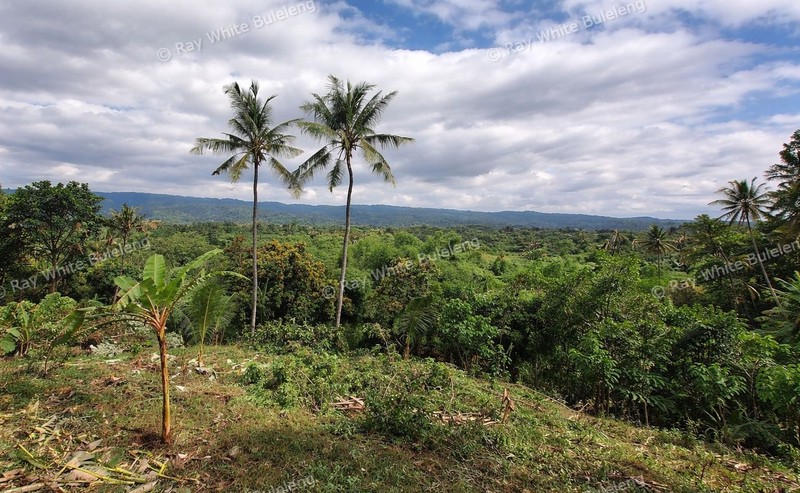 Exclusive 2,625 sqm Land with Panoramic Ocean & Hills View - Selat, North Bali