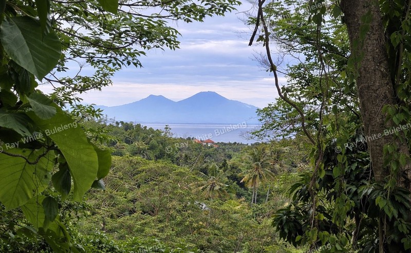 Exclusive 2,625 sqm Land with Panoramic Ocean & Hills View - Selat, North Bali