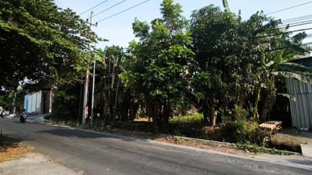 Dijual 600 m2 Tanah Citraland Surabaya Area - Jalan Raya Ngemplak - Made - Sambikerep Surabaya -Cocok Buat Segala Usaha - Surat SHM