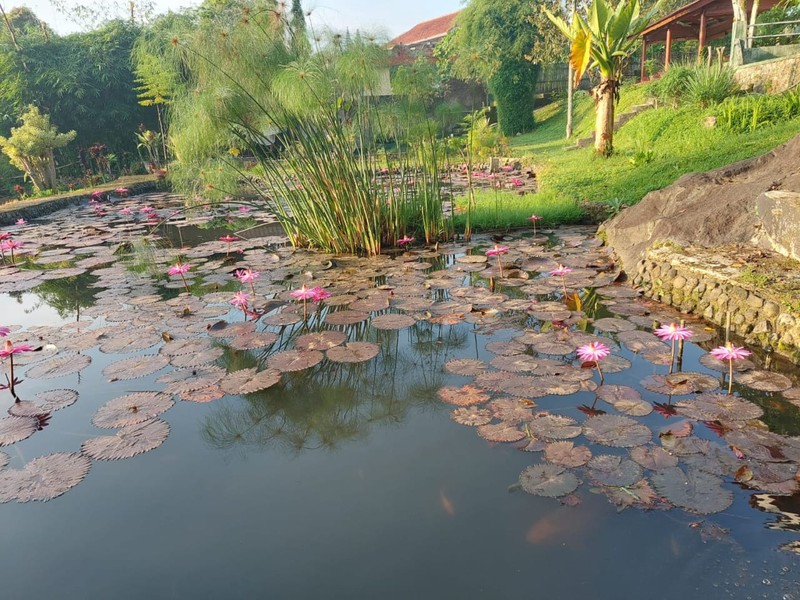 Vila Asri dan Nyaman VILLA KATINEUNG