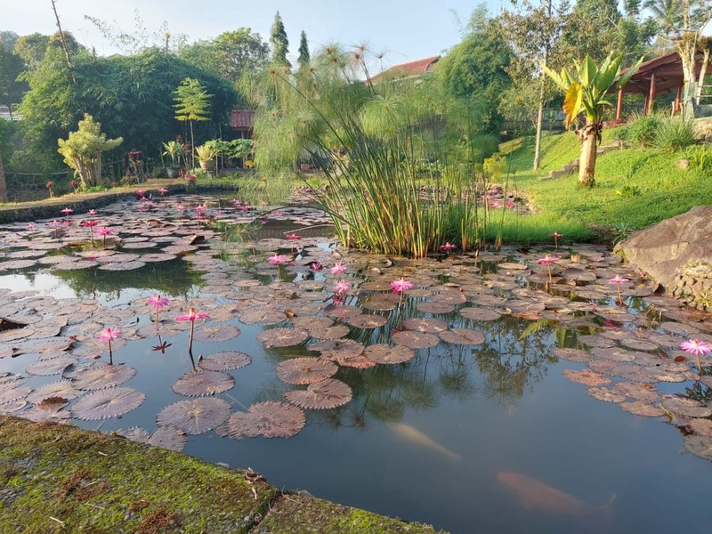 Vila Asri dan Nyaman VILLA KATINEUNG