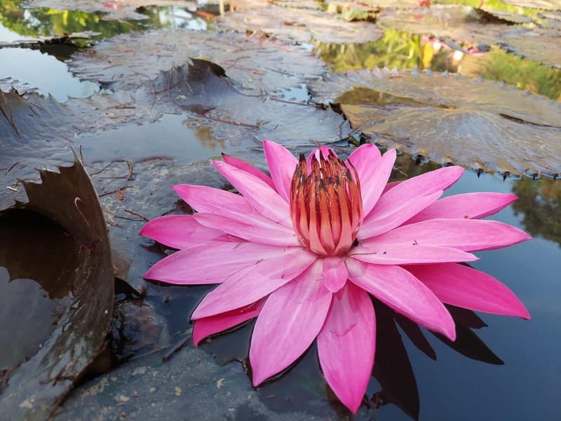 Vila Asri dan Nyaman VILLA KATINEUNG