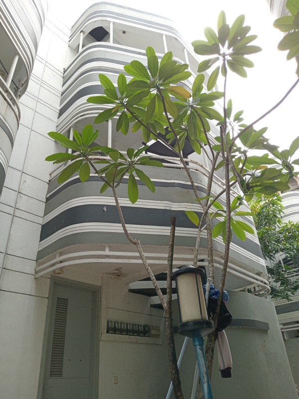 Rumah Kos Cluster Anarta BSD - Lingkungan Elite, Okupansi Tinggi