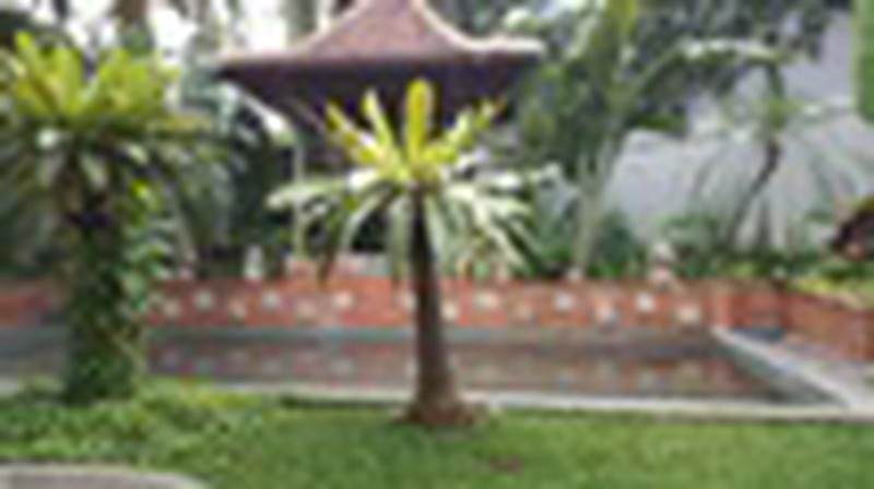 for rent Excellent House with HUGE Back and Front Yard in Cipete