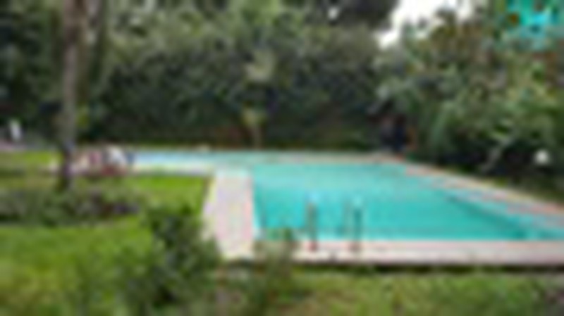 For rent Excellent House with HUGE Back and Front Yard in Cipete