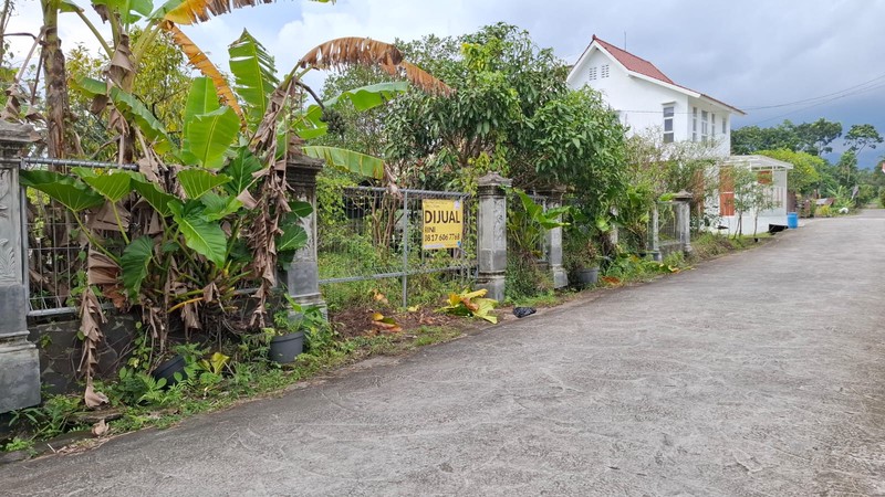 Tanah Luas 1304 Meter Persegi Lokasi di Daerah Pakembinangun - Sleman 