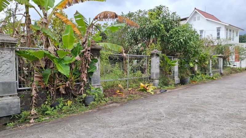 Tanah Luas 1304 Meter Persegi Lokasi di Daerah Pakembinangun - Sleman 