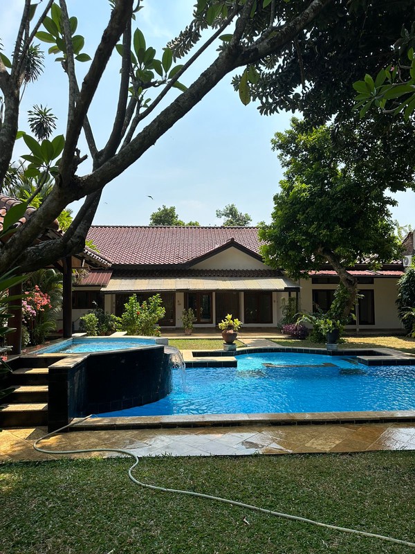 For rent Rumah Asri dan Nyaman untuk disewakan daerah kemang