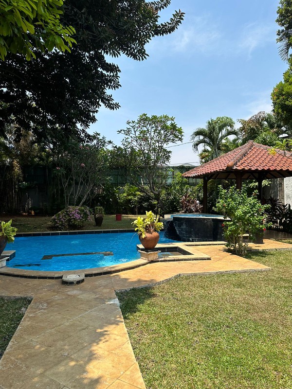 For rent Rumah Asri dan Nyaman untuk disewakan daerah kemang