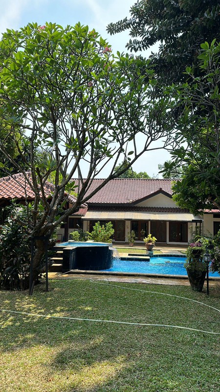 For rent Rumah Asri dan Nyaman untuk disewakan daerah kemang