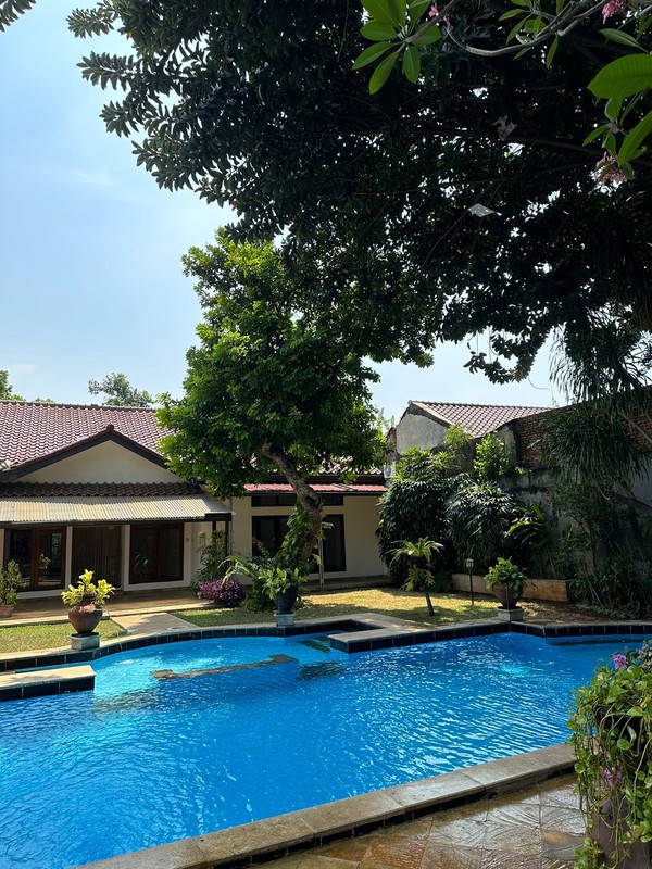 For rent Rumah Asri dan Nyaman untuk disewakan daerah kemang