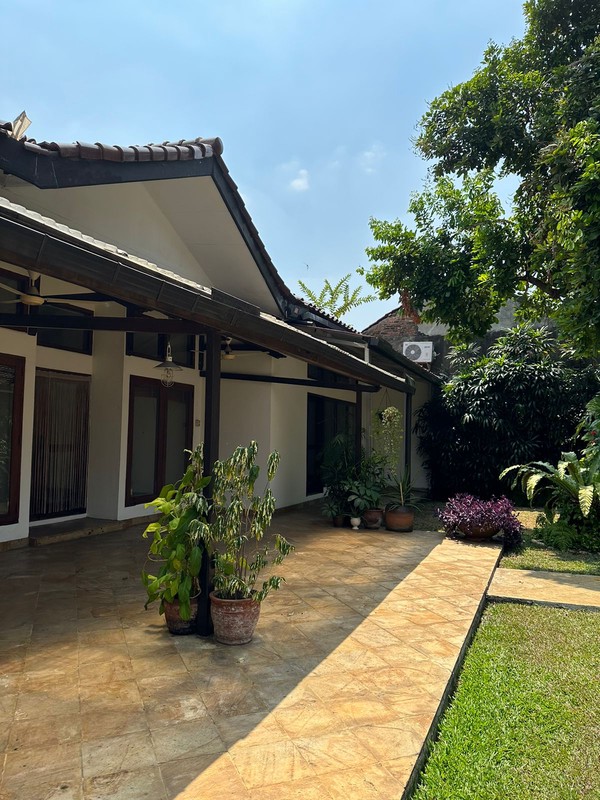 For rent Rumah Asri dan Nyaman untuk disewakan daerah kemang