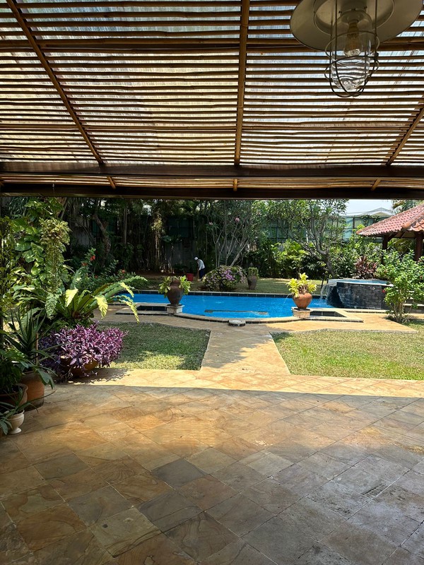 For rent Rumah Asri dan Nyaman untuk disewakan daerah kemang