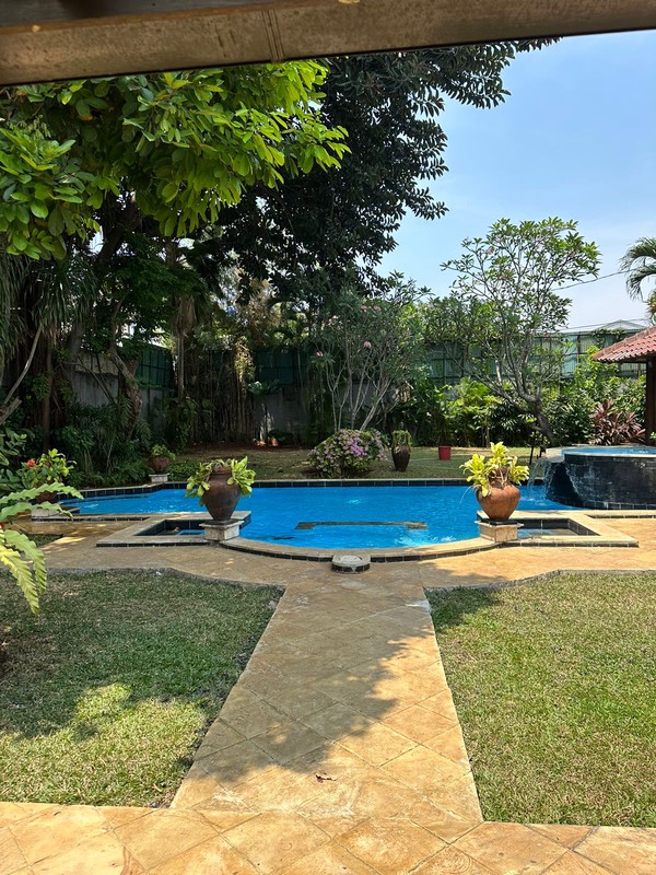 For rent Rumah Asri dan Nyaman untuk disewakan daerah kemang