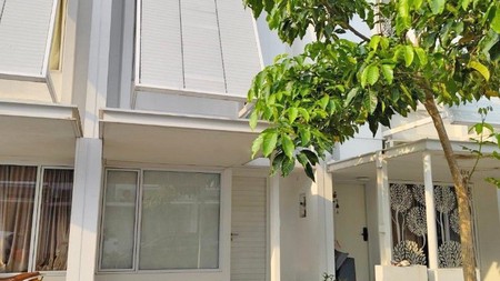 Rumah Minimalis Modern di Tabebuya Cluster Inspirahaus BSD City