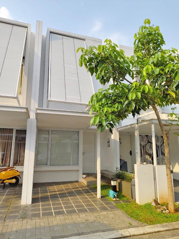 Rumah Minimalis Modern di Tabebuya Cluster Inspirahaus BSD City