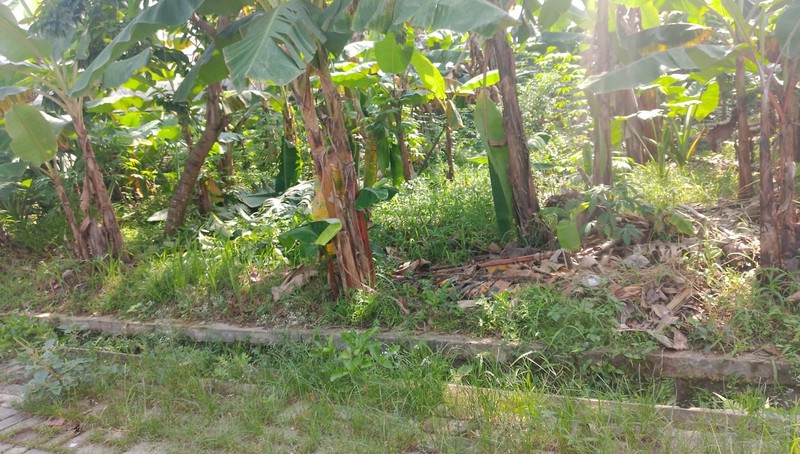 Kavling Strategis siap bangun di Bumi Pusitek Asri Bsd City