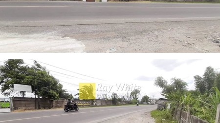Tanah murah luas 3 hektar lokasi Panjang, bandar lampung