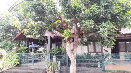 Rumah 1 Lantai, Asri, Lokasi Strategis di Bintaro