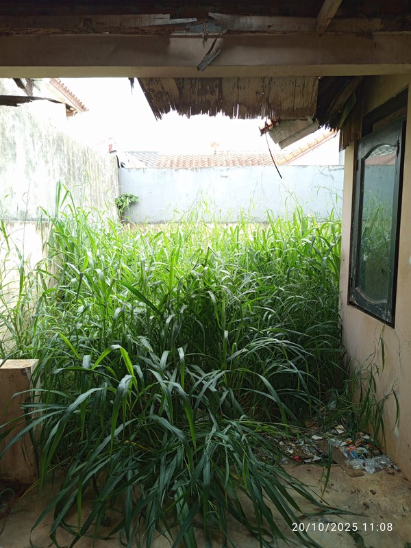 Jual Kavling Di Taman Ubud Cempaka Timur - Lippo Karawaci Tangerang