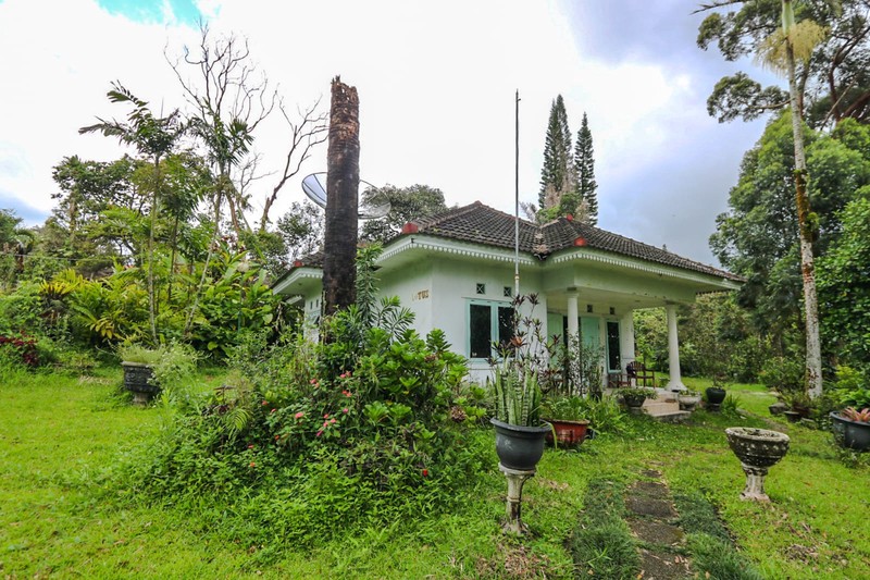 Villa Bergaya Klasik dengan Udara Sejuk di Puncak Cimacan Cipanas