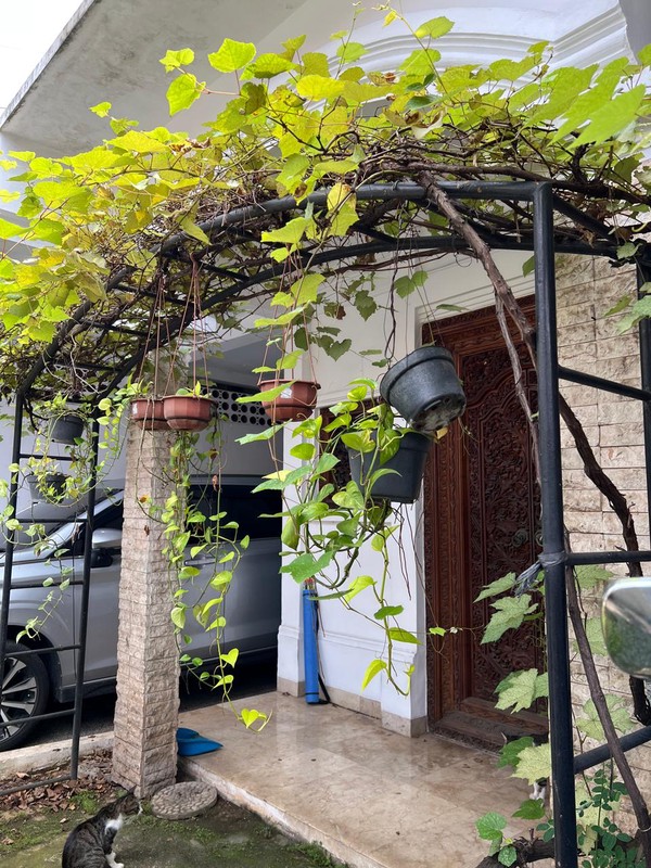 Rumah Bagus Di Mandar Bintaro Jaya Sektor 3