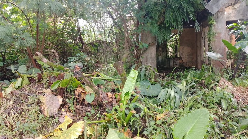 Kavling Premium di Bumi Puspitek Asri BSD - Lingkungan Asri & Berkembang