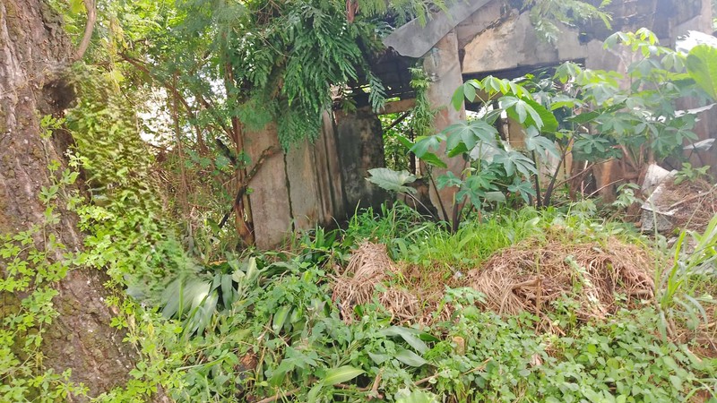 Kavling Premium di Bumi Puspitek Asri BSD - Lingkungan Asri & Berkembang