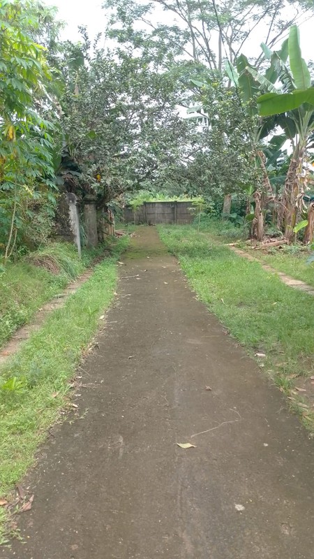 Kavling lokasi strategis di Bumi Puspitek Asri BSD City