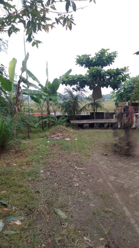 Kavling lokasi bagus di Bumi Puspitek Asri BSD City